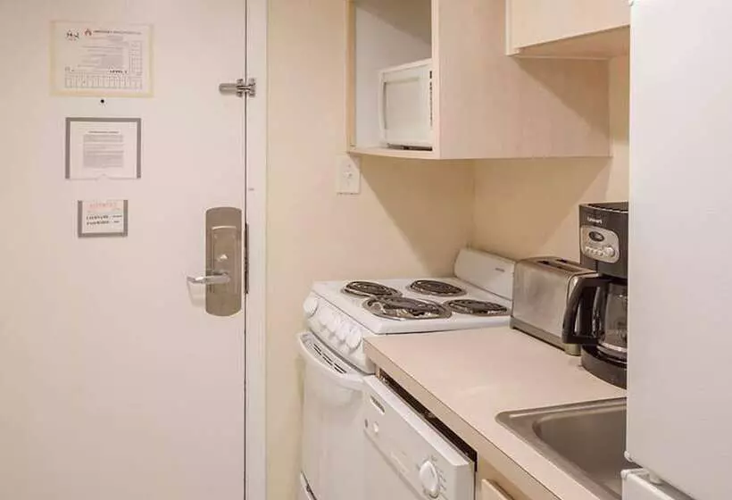 ホテル Dolphin Beach Club