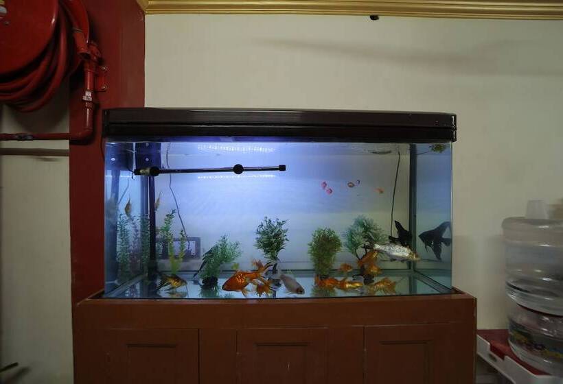 호텔 French Breeze Residency