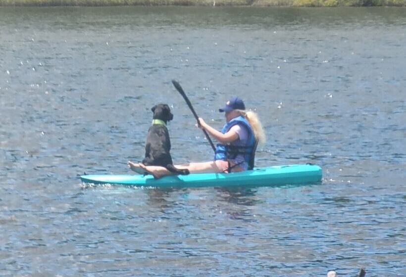 酒店 Ladd Pond Cabins And Campground, Llc