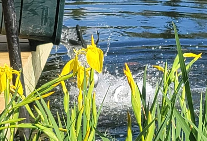 酒店 Ladd Pond Cabins And Campground, Llc