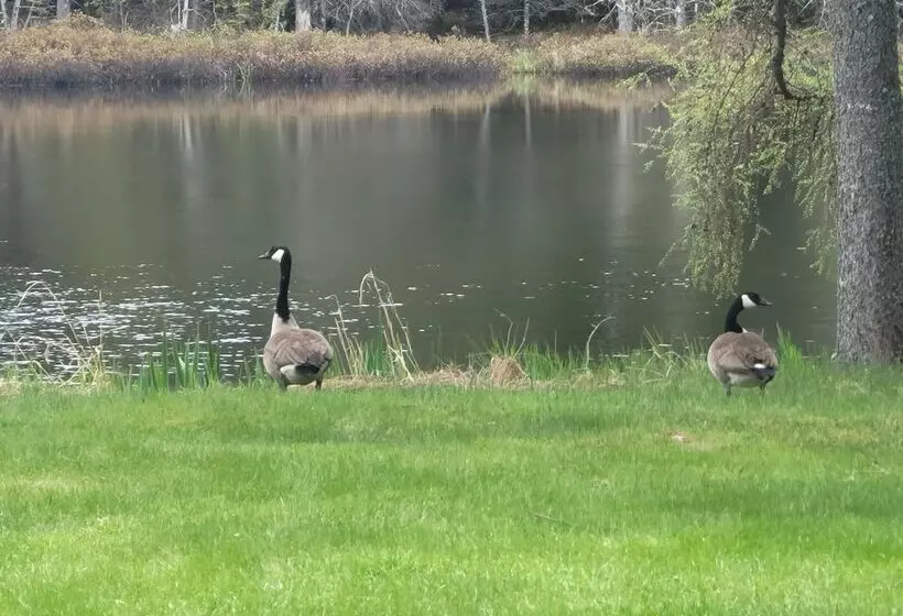 Hotelli Ladd Pond Cabins And Campground, Llc