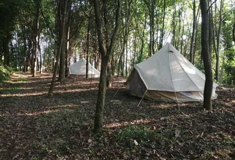 בית מלון כפרי Eco Hostel Quinta Das Relvas