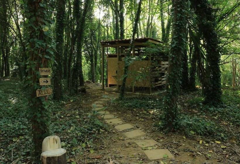 בית מלון כפרי Eco Hostel Quinta Das Relvas