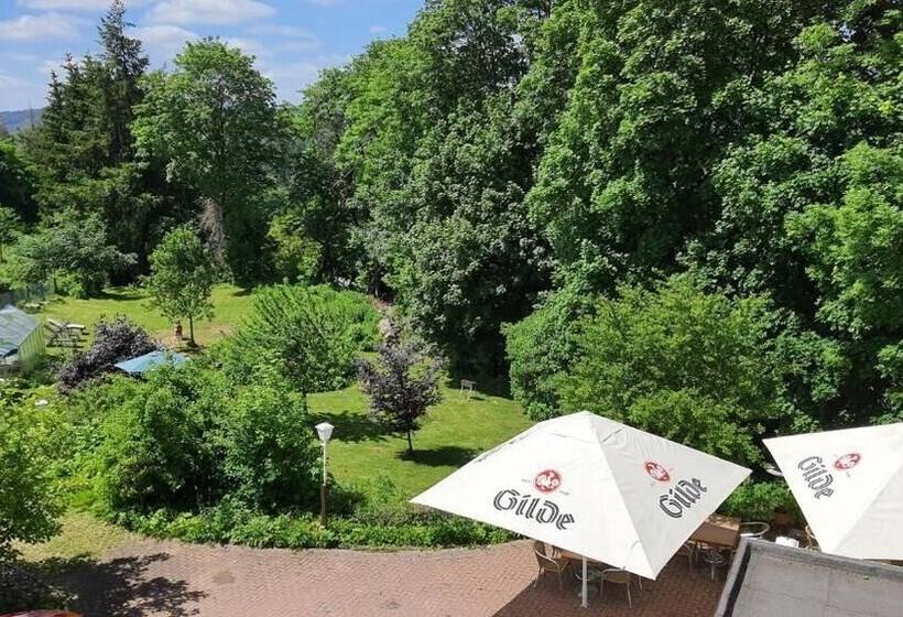 בית מלון כפרי Schneiderhof