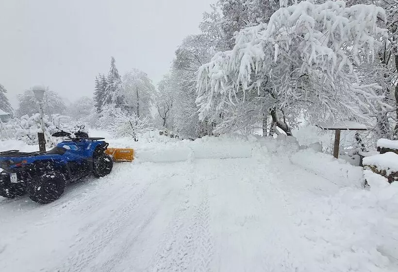 Hotelli Schneiderhof