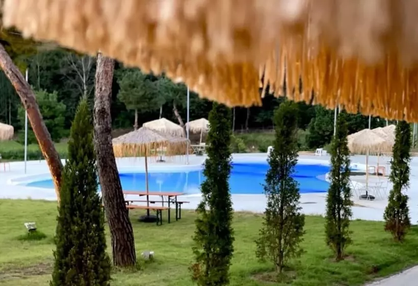 ペンション Gapyeong Tree House