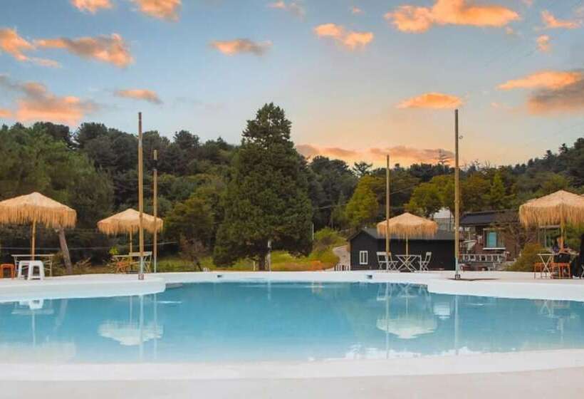 بنسيون Gapyeong Tree House