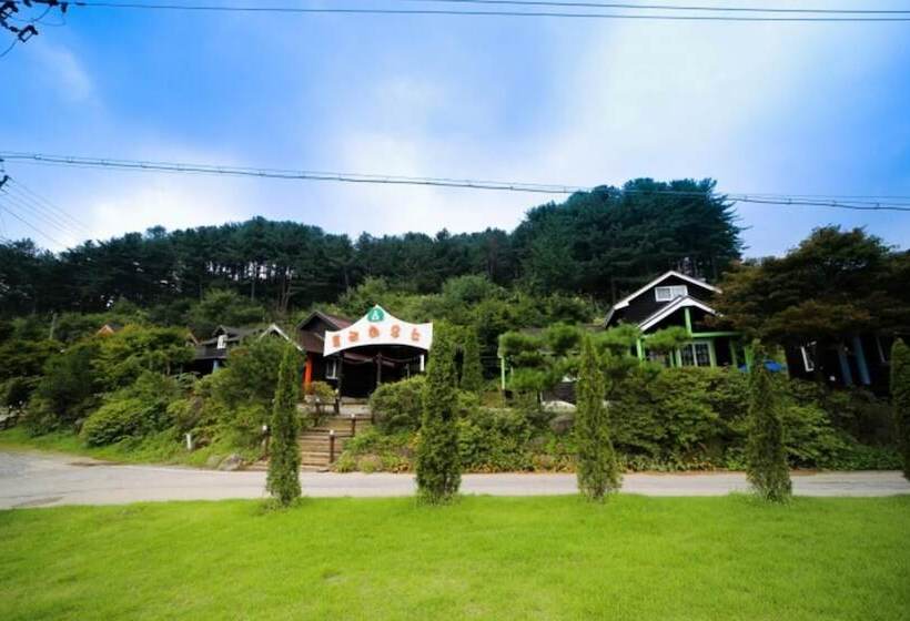 بنسيون Gapyeong Tree House