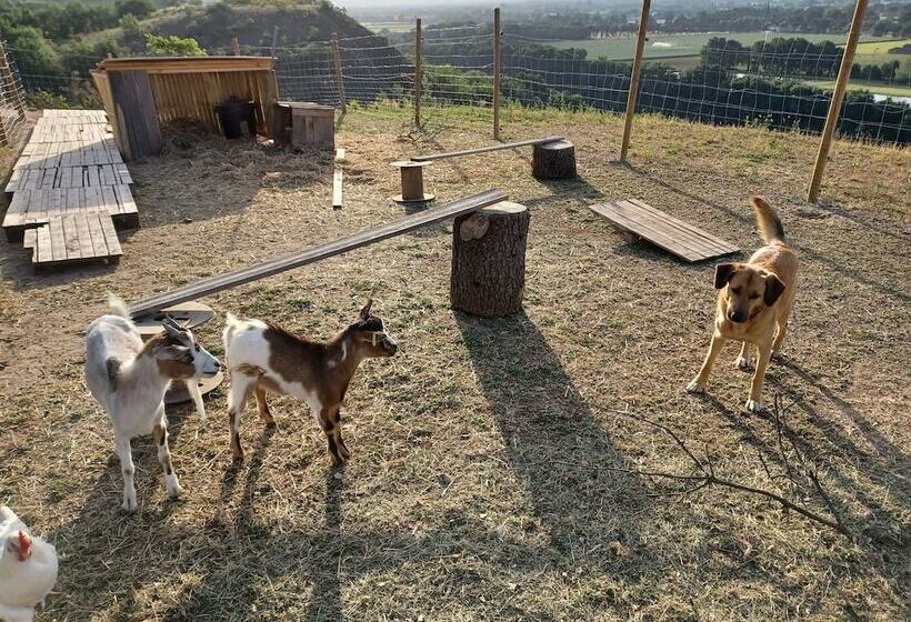 پانسیون Puech Evasion