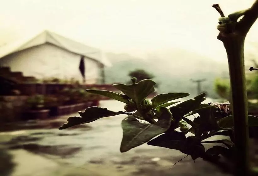 Lomakeskus D Jungle Dabas Cottages