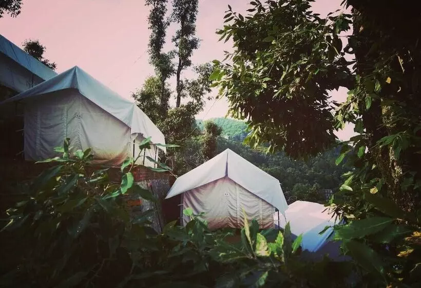 Lomakeskus D Jungle Dabas Cottages