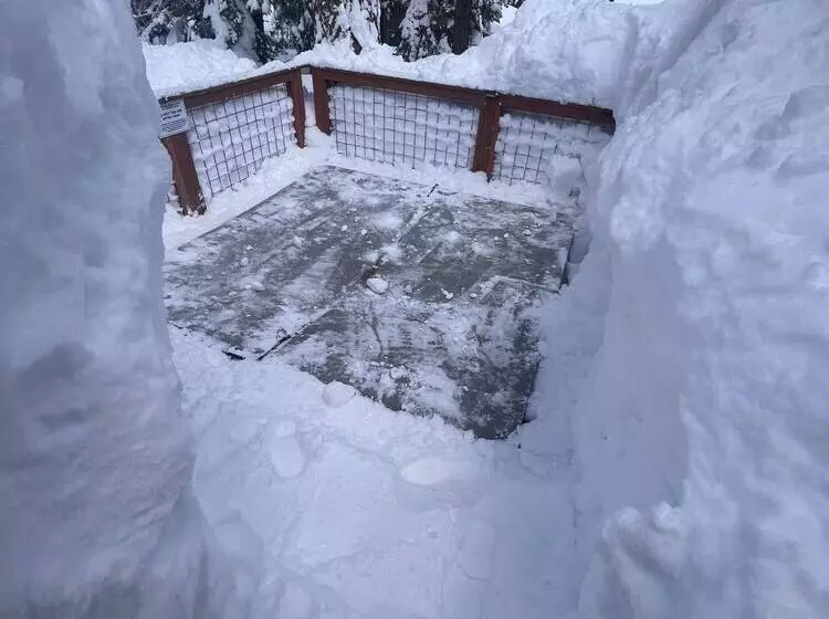 Serene Tahoe Cabin