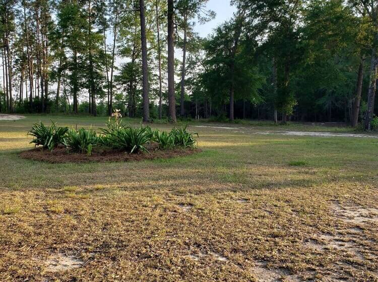 The Getaway, A Tiny House