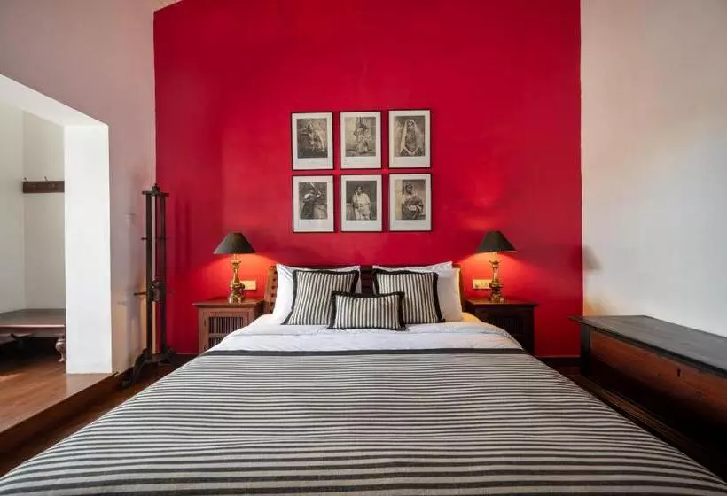 בית מלון כפרי 42 Lighthouse Street