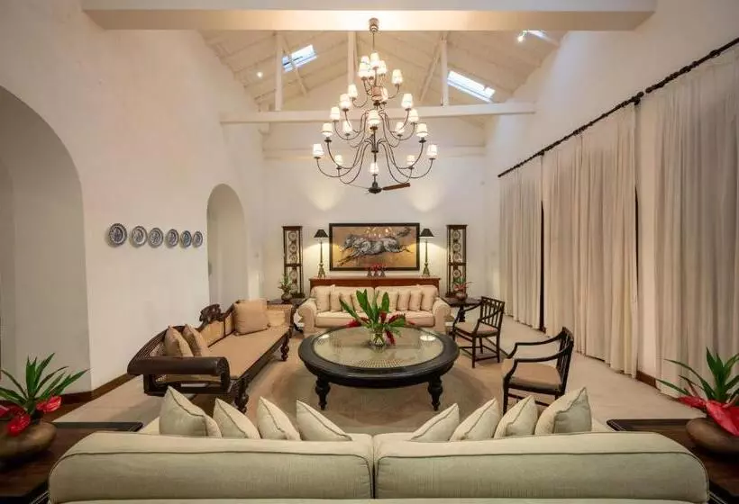 בית מלון כפרי 42 Lighthouse Street