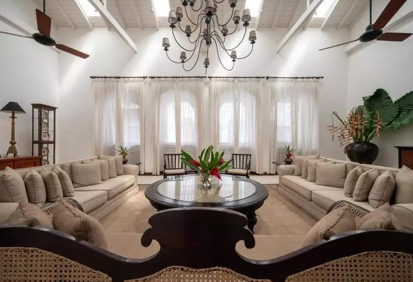 בית מלון כפרי 42 Lighthouse Street