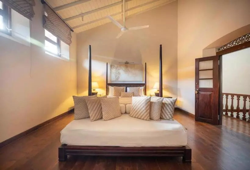 فندق 42 Lighthouse Street