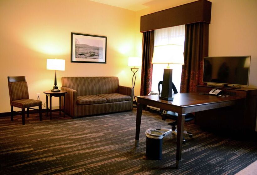 호텔 Hampton Inn Poplar Bluff