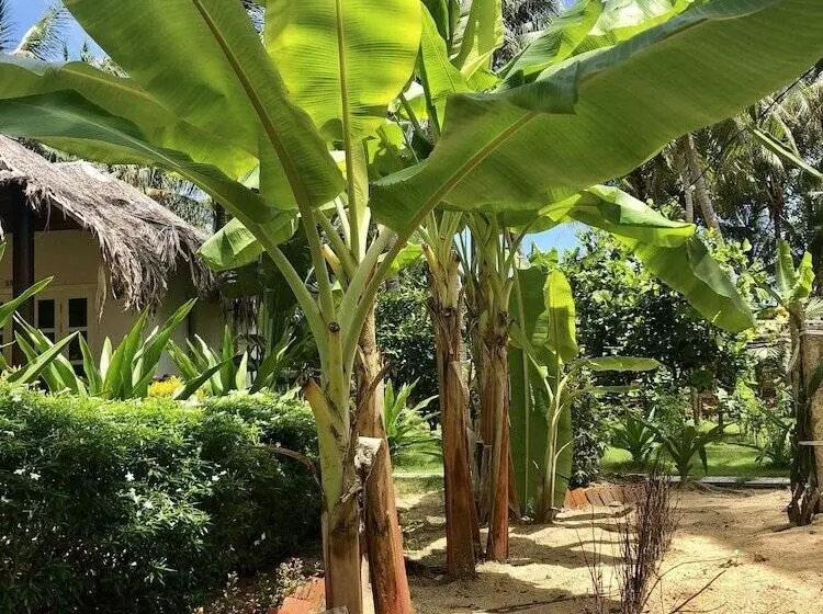 ホテル Peppercorn Beach