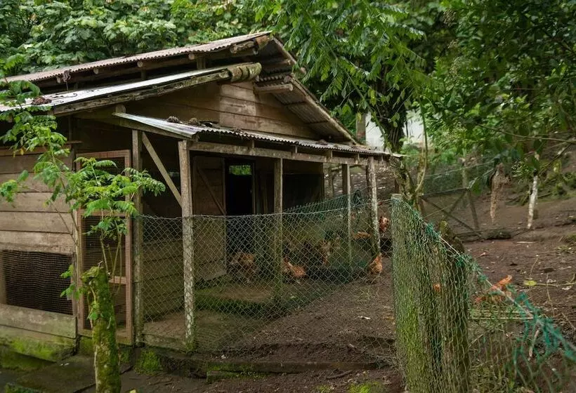 فندق Rancho Margot   All Meals Included