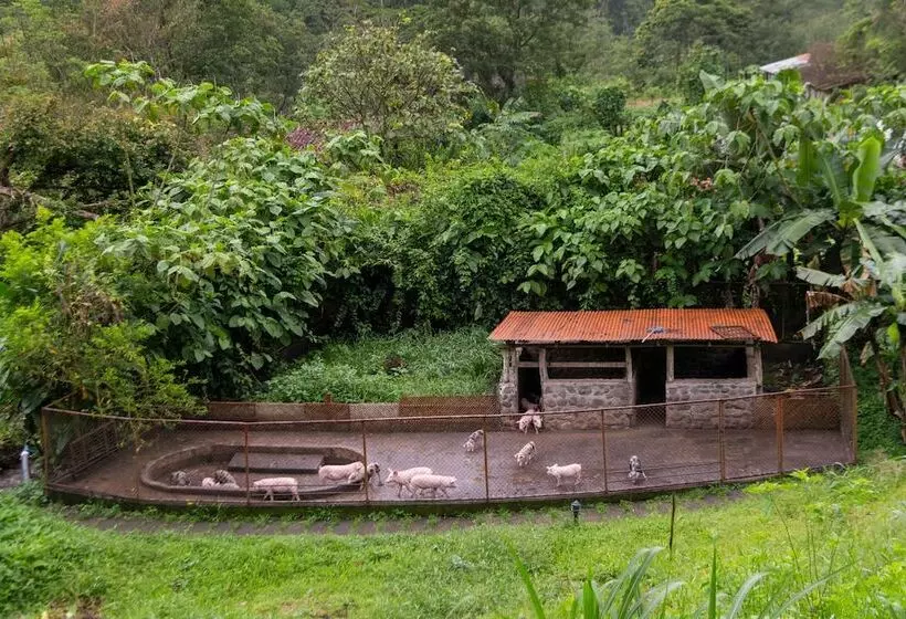 فندق Rancho Margot   All Meals Included