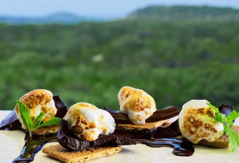 酒店 Sonesta Bee Cave Austin Hill Country