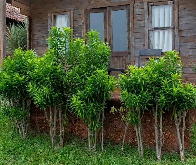 Stone Water Eco Resort