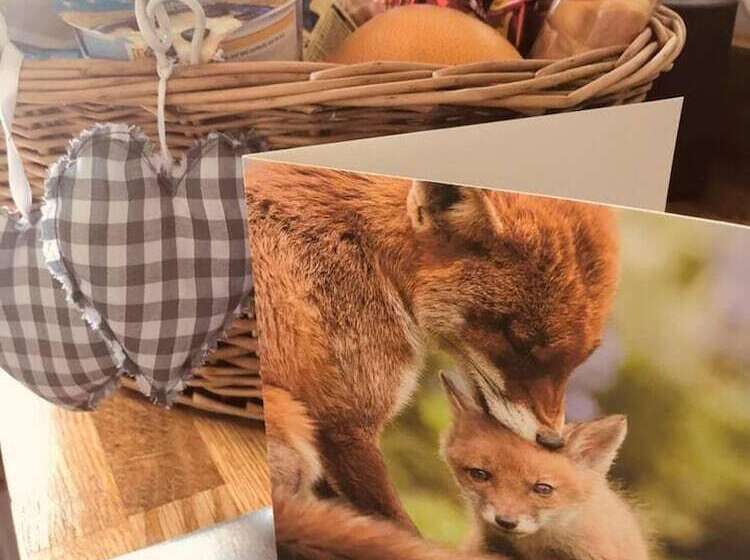 A Beautiful, Unique Lodge, Made For Two