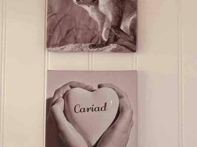 A Beautiful, Unique Lodge, Made For Two