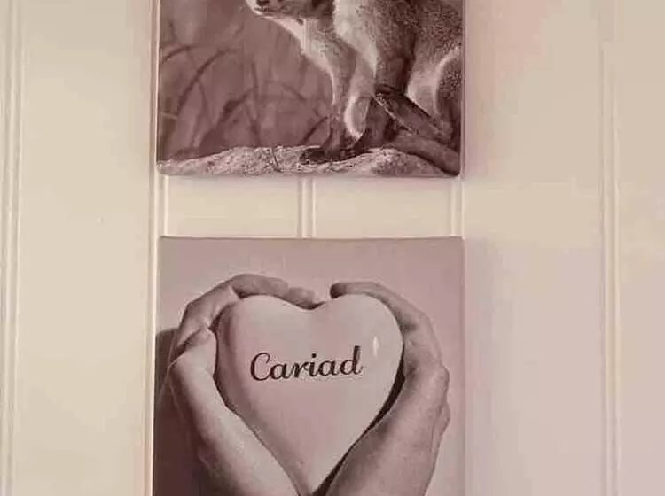 A Beautiful, Unique Lodge, Made For Two