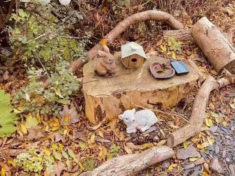 A Beautiful, Unique Lodge, Made For Two