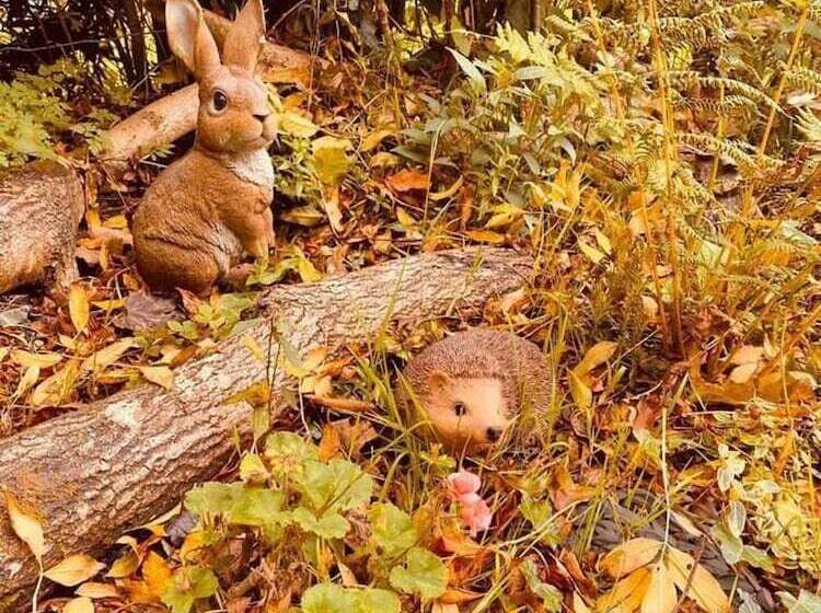 A Beautiful, Unique Lodge, Made For Two