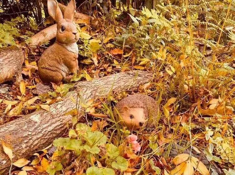 A Beautiful, Unique Lodge, Made For Two