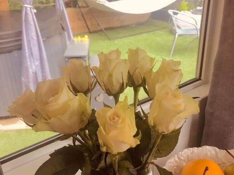 A Beautiful, Unique Lodge, Made For Two