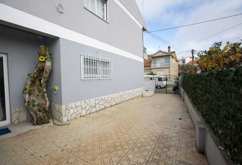 ユースホステル Alecrim D Estepe