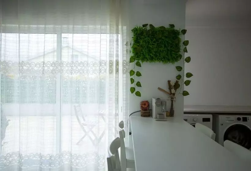 ユースホステル Alecrim D Estepe