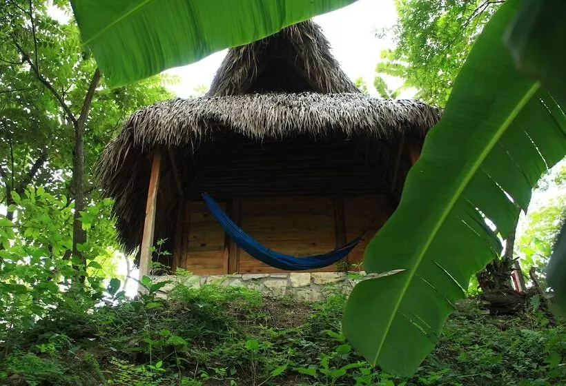 Aamiaismajoitus (B&B) Aldea Huasteca