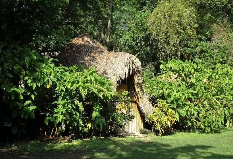 Aamiaismajoitus (B&B) Aldea Huasteca