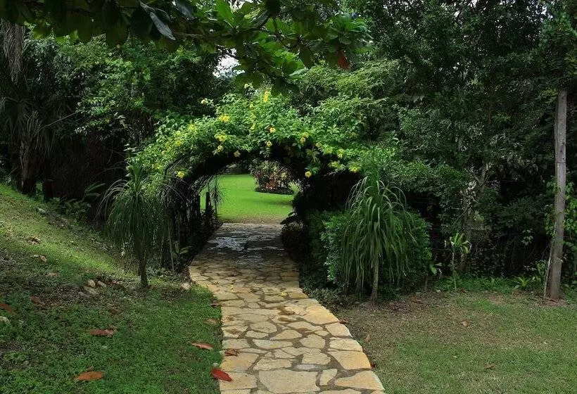 Aamiaismajoitus (B&B) Aldea Huasteca