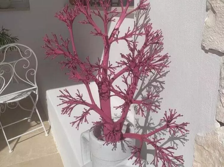 Aamiaismajoitus (B&B) Feudi Mandolivo