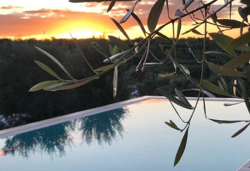 Bed and Breakfast Feudi Mandolivo