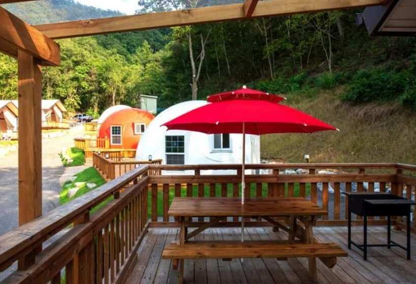 Chuncheon Buzz Glamping Pension