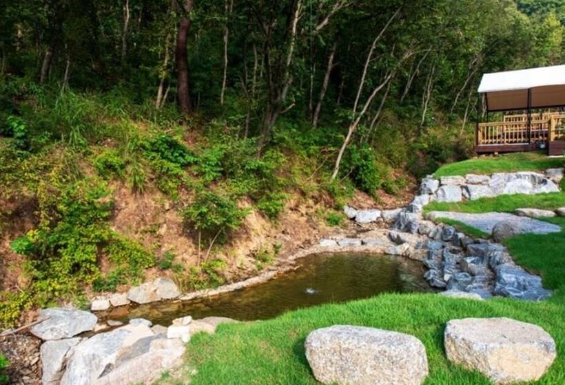 Chuncheon Buzz Glamping Pension