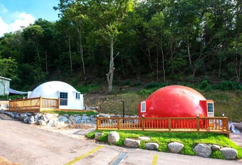 Chuncheon Buzz Glamping Pension