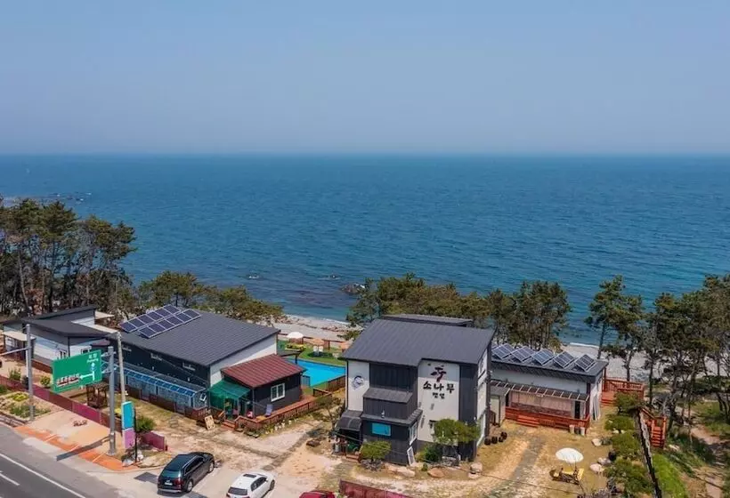 Gyeongju Gampo Sonamu Pension