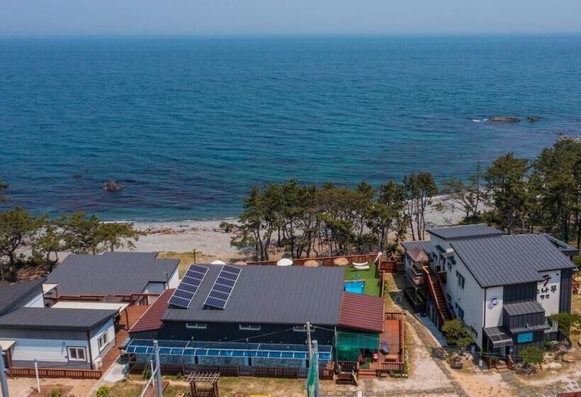 Gyeongju Gampo Sonamu Pension