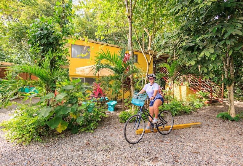 هتل Boutique D Angelo