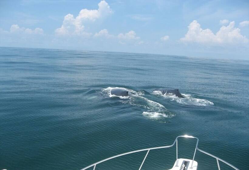 فندق Casa Del Golfo El Salvador