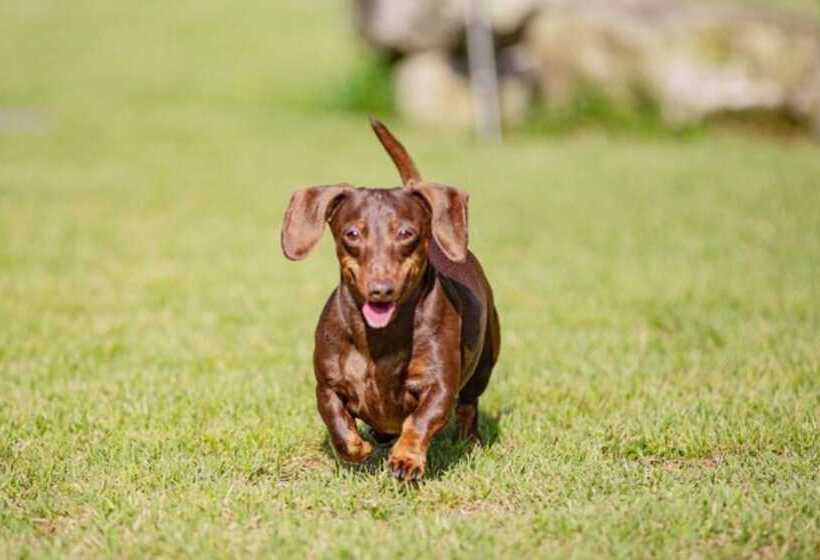 酒店 Gangneung Happymong Pension