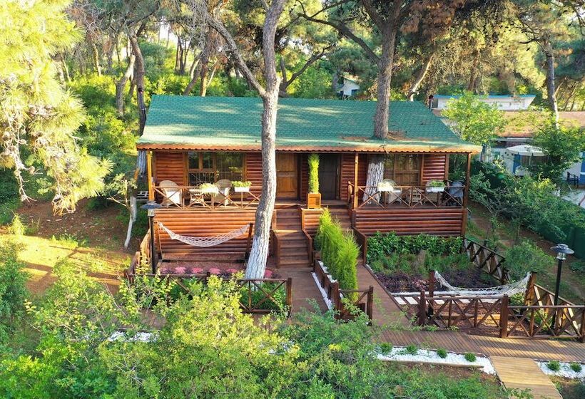 ホテル Glamping Büyükada